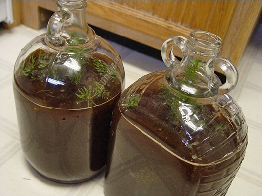 91c9351937e64129992d99b9ba83129b_spruce_beer 91c9351937e64129992d99b9ba83129b_spruce_beer