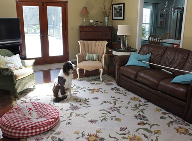 [old%2520rug2%2520copy%255B4%255D.jpg]