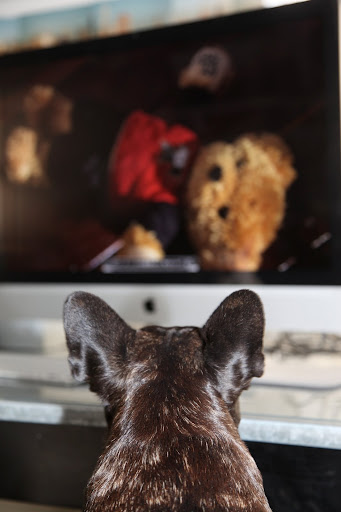 This must be Ted.  He's really cute.  I hope Santa brings us Teddy bears this year.