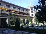 IMG00684-20100130-1428.jpg