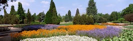 flower panoram_nebesnoe.info_29.jpg