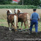 graanoogst-09-042.jpg