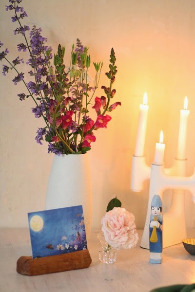 9Elmars zweite Geburtstag 010 9Elmars zweite Geburtstag 010