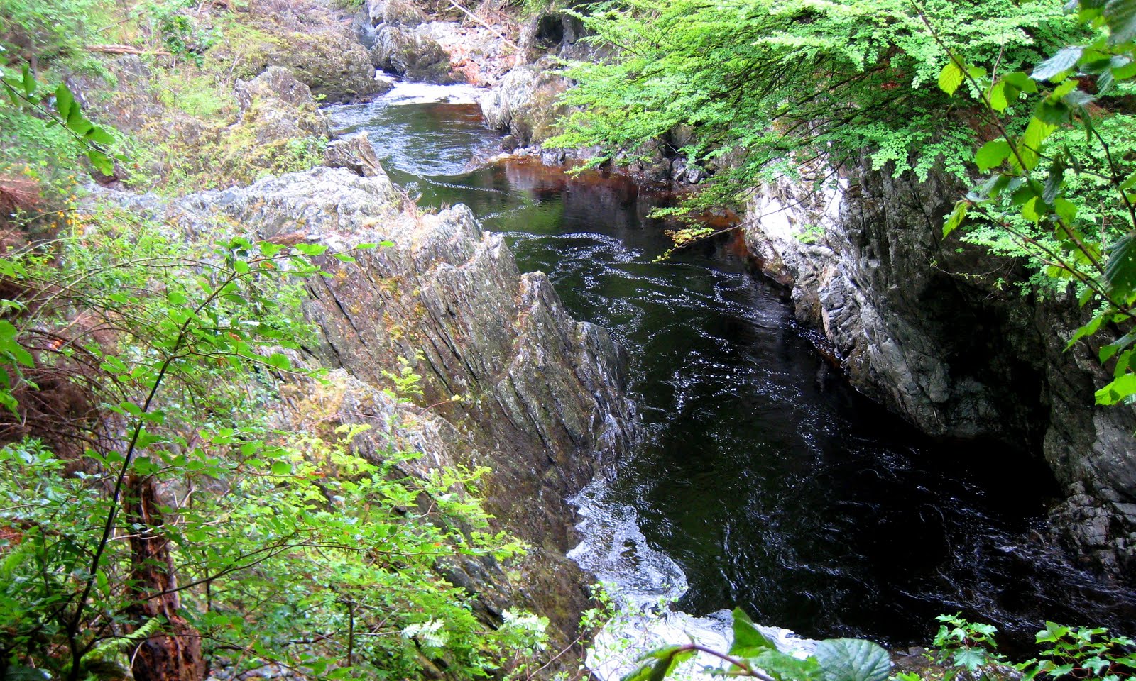 [IMG_24546.jpg]