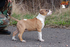 10 weeks