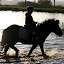 Equitation Equitation