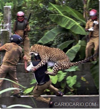 fotos na hora certa ou errada momentos dificeis da vida (19)