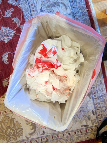 [bloody-wastebasket%255B9%255D.jpg]