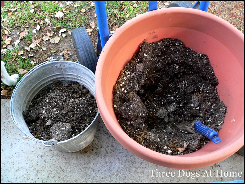 [planting%2520006%255B3%255D.jpg]