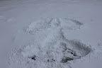 IMG_1901