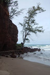 DSC_0977.jpg