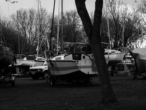 IMGP0226