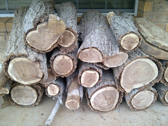 [IMG-20111224-02350%255B3%255D.jpg]