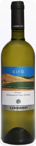 Ciro_Bianco1 Ciro_Bianco1
