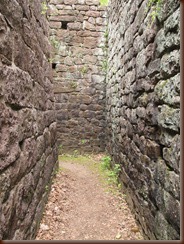 IMG_4726 IMG_4726