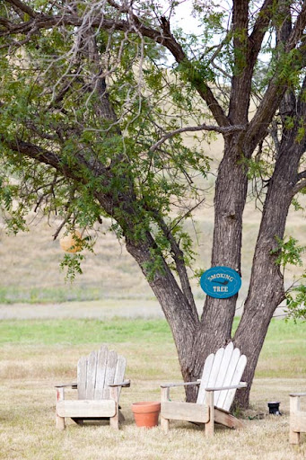 The sign on the actual tree.
Photo by Gia Canali. The sign on the actual tree.
Photo by Gia Canali.