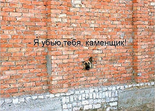 [1248340796_podpisi_41%5B3%5D.jpg]
