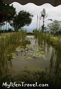 IMG_9835 IMG_9835