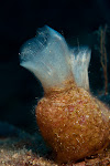 20091022-IMG_5946
