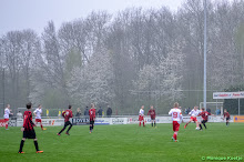 20140405 - WVV D4 - PEKELDER BOYS D1 - 022.jpg