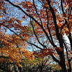 hokkaido_143.jpg