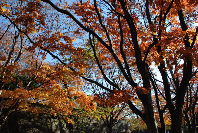 hokkaido_143.jpg