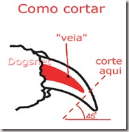 Ângulo de corte Ângulo de corte