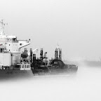 In the Mississippi river fog