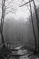 Bieszczady-Kremenec--03.jpg Photo Bieszczady-Kremenec--03.jpg Photo