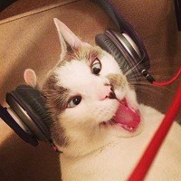 @ 10 curiosidades interessantes que provavelmente você não sabia @ 10 curiosidades interessantes que provavelmente você não sabia