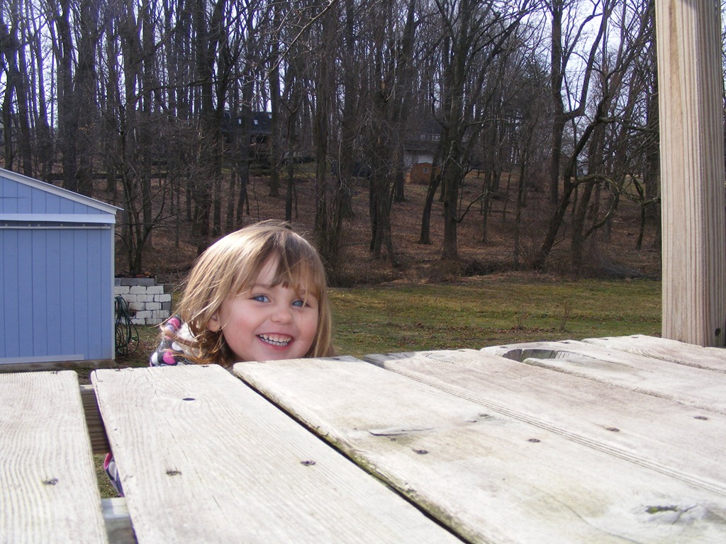 [DSCF3701%255B4%255D.jpg]