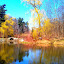 A small lake in High Park