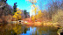 A small lake in High Park