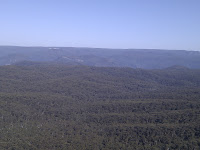 IMG_20121125_085445.jpg Photo