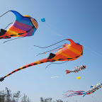 Vung Tau Kite Festival Vung Tau Kite Festival