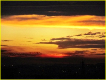sunset borda yellow sunset borda yellow
