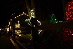 Christmas Town! 085