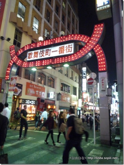 新宿-歌舞伎町 新宿-歌舞伎町