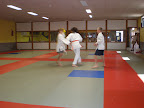 Judo - 3 juli 2009: Foto