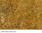 Гранит JUPARANA ARANDIS