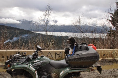 DSC_0040.jpg DSC 0040