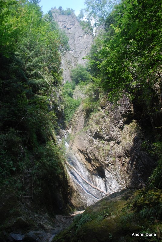 57.jpg