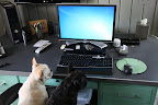 Let's make sure everything's in order at her desk first.