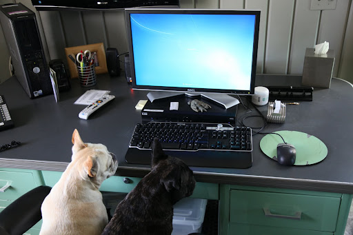 Let's make sure everything's in order at her desk first.