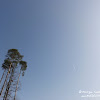 dsc06755.jpg