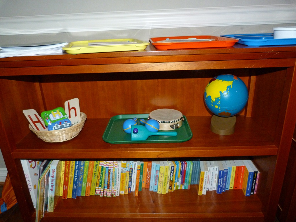 [Our%2520School%2520Shelves%255B4%255D.jpg]
