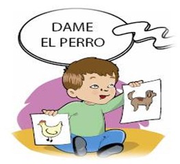 Imagen16