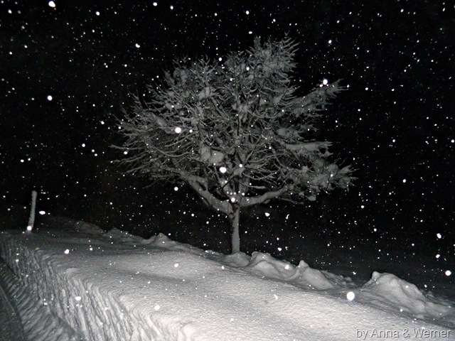 [2012_01_09%2520Huettengaudi7_Rueckweg%255B3%255D.jpg]