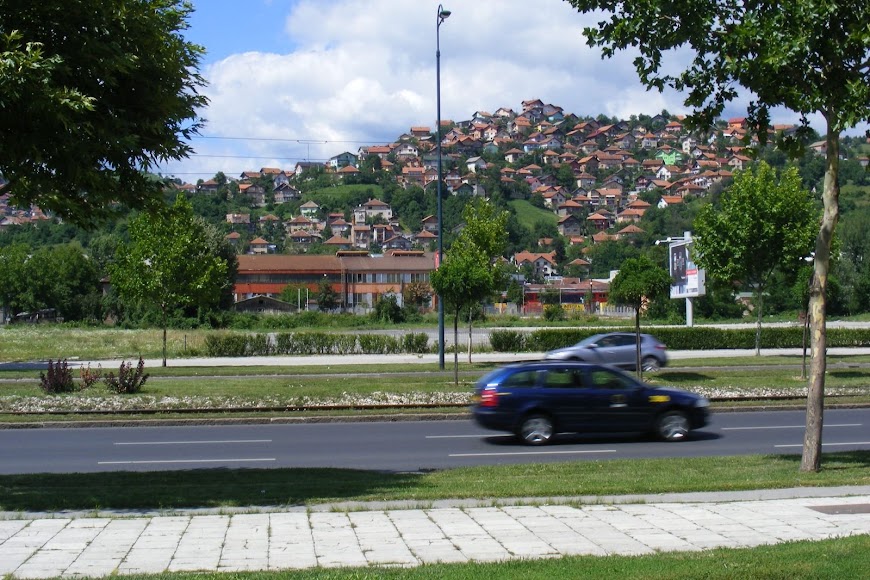 DSCF0206.JPG
