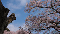 P4151452.JPG